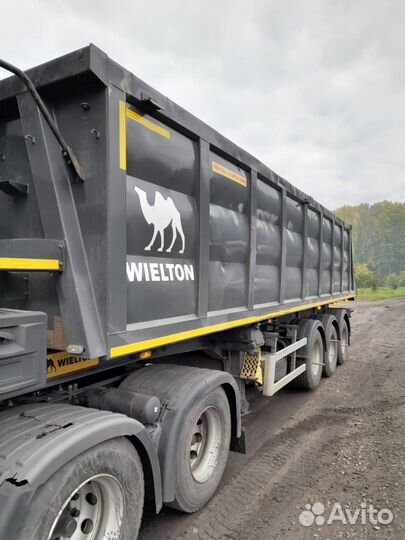Полуприцеп самосвальный WIELTON NW 3, 2019