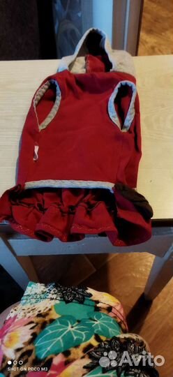 Вещи для маленьких собачек, ошейник кожаный