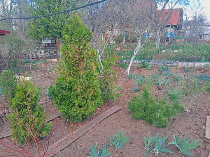 Дом 30 м² на участке 4 сот.