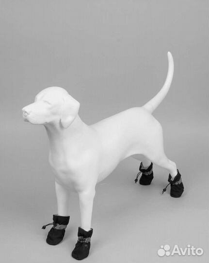 Обувь для собак