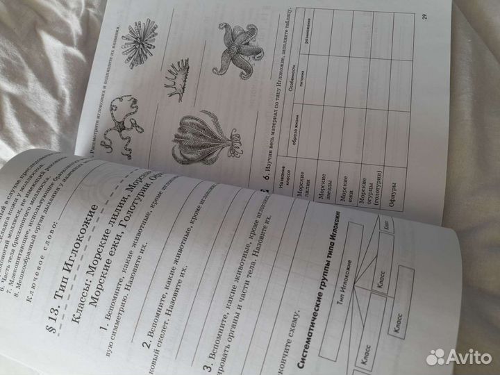 Рабочая тетрадь 7 класс биология