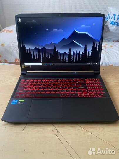 Acer Nitro 5