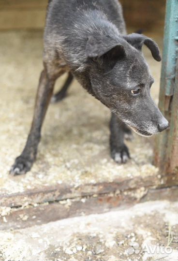 Несчастная старушка вся жизнь в приюте