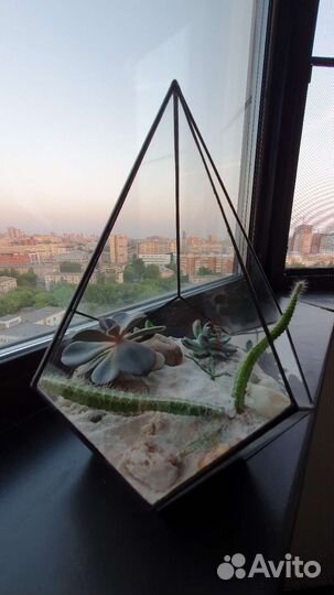 Флорариум 30см. с растениями