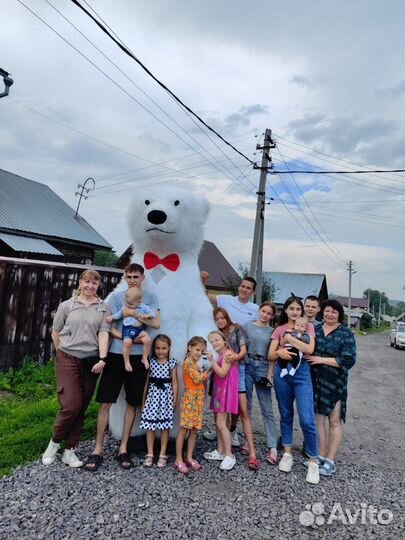 Белый мишка поздравление