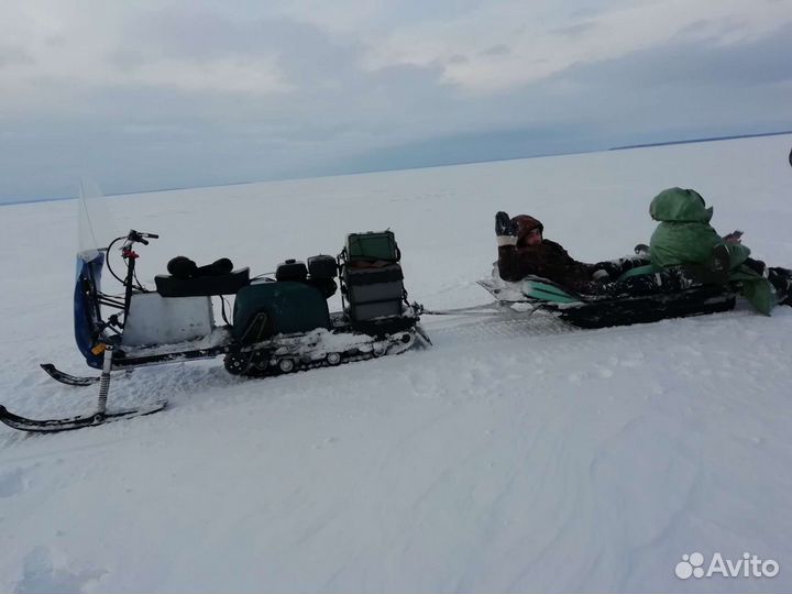 Мотособака