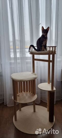 Когтеточка для кошек новая