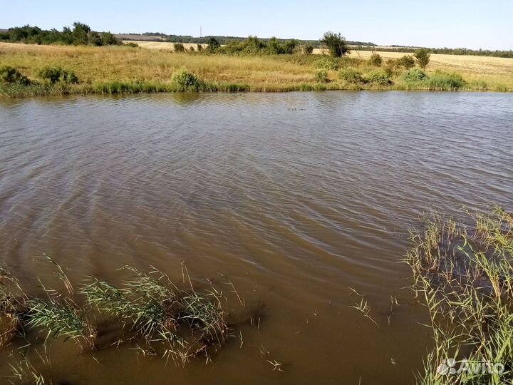 Рыбалка Марьины Колодцы