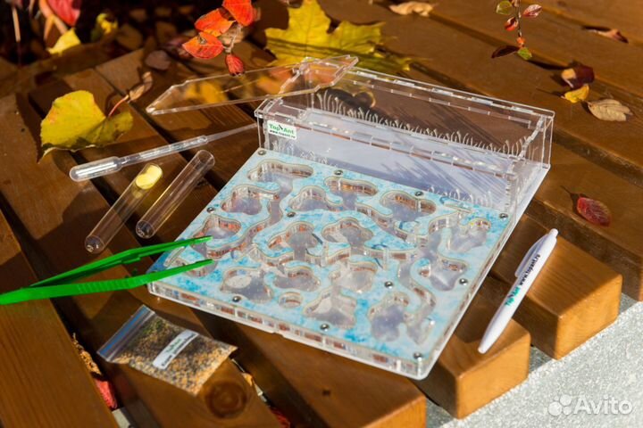 Муравьиная ферма