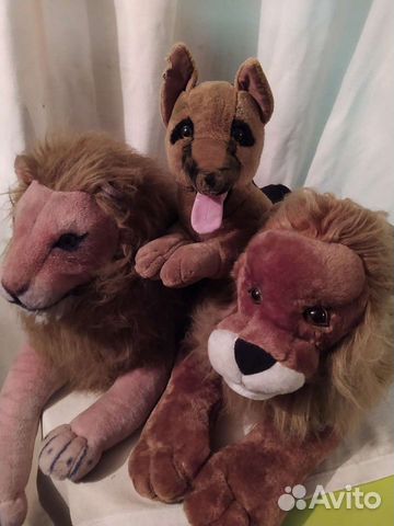 Плюшевые львы и собачонка