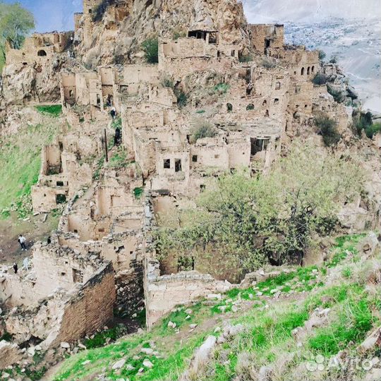 Тур поездки