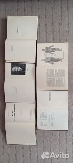 Атлас анатомии человека. В.П. Воробьев 1946г