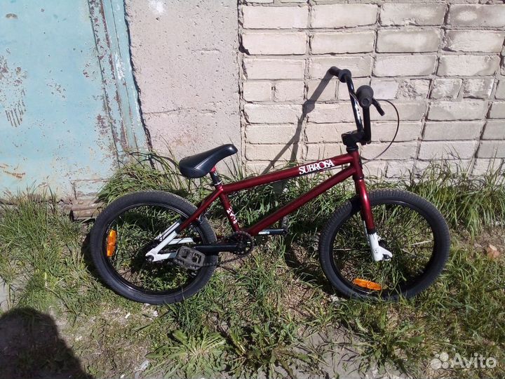 Subrosa altus