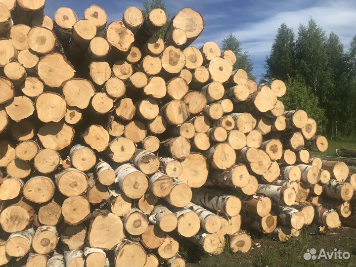 Лес кругляк береза