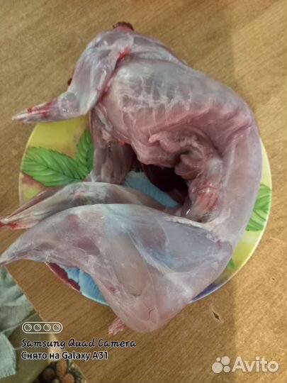 Консервы домашние