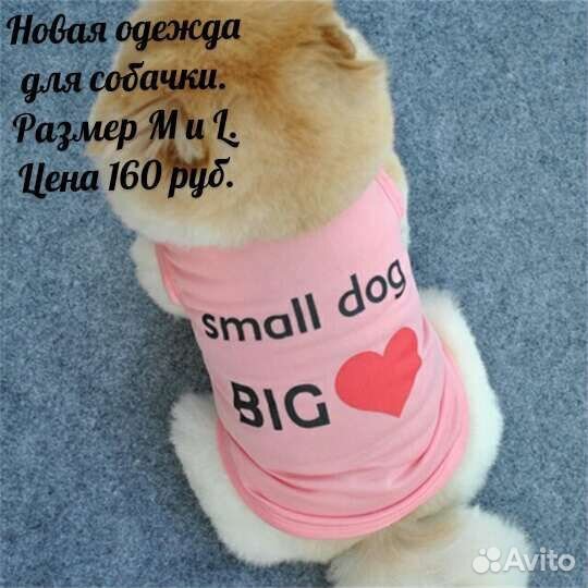 Одежда для собак