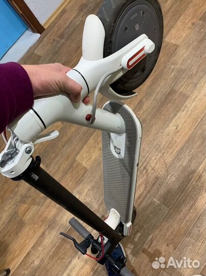 Аренда и прокат электросамокатов Xiaomi 365m