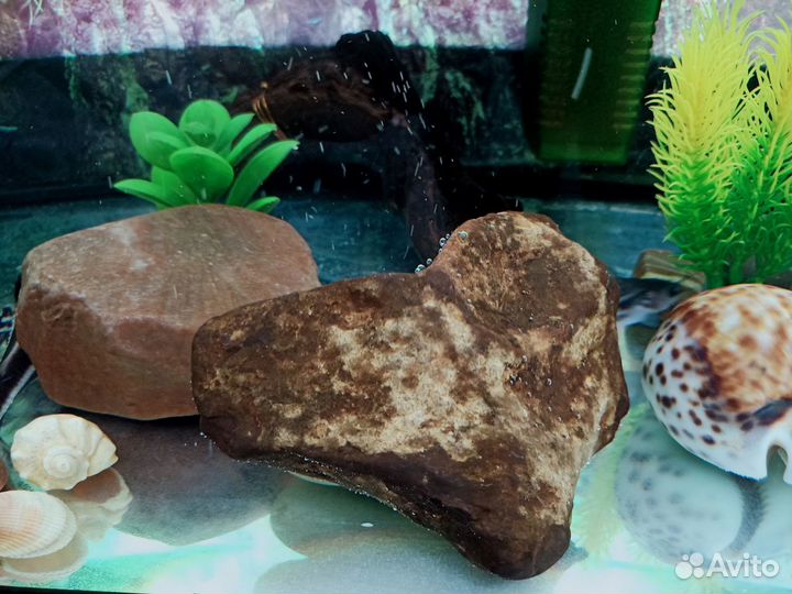 Камни в аквариум/террариум