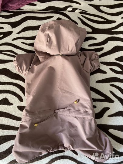 Одежда для маленьких собак