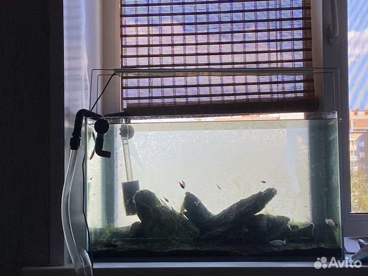 Аквариум