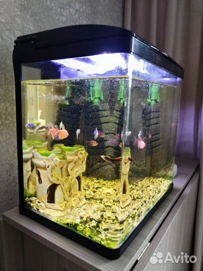 Аквариум