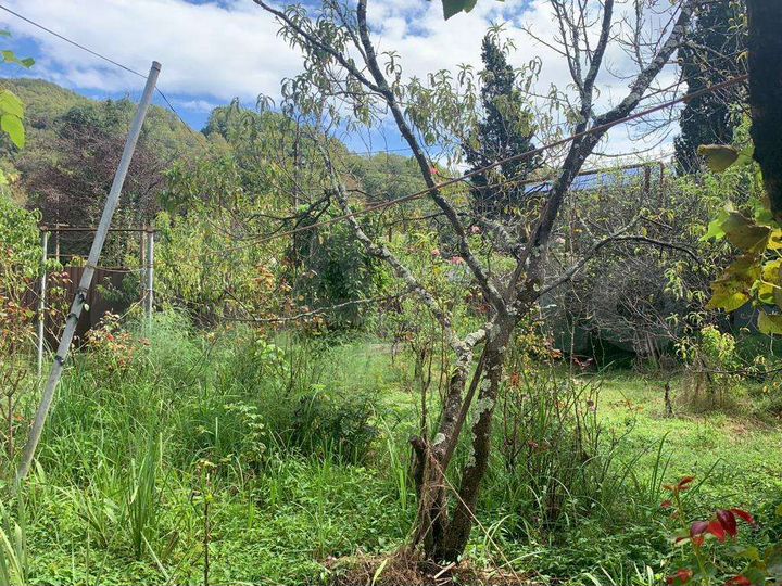 Участок 11,5 сот. (ИЖС)