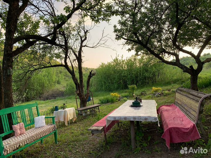 Отдых на природе в Костенках