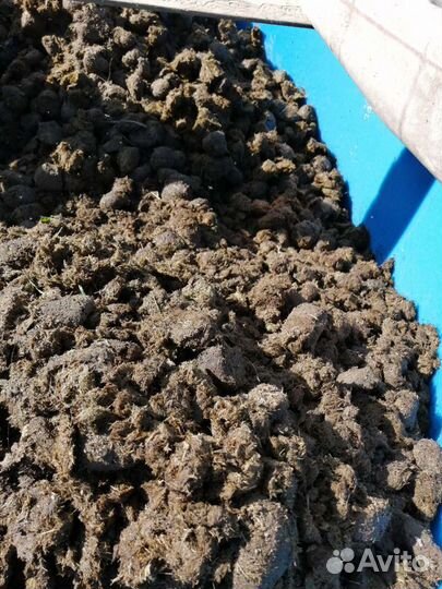 Навоз конский. Без опилок и соломы