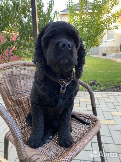 Ищем подружку