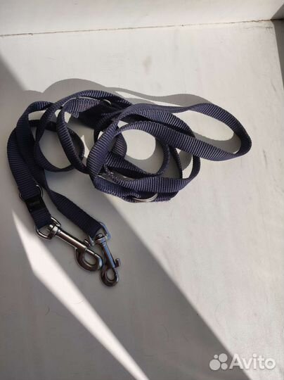 Ошейники, поводки для собак. Амуниция