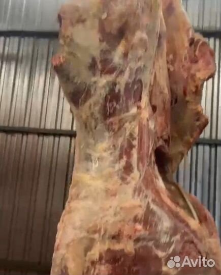 Вынужденный забой, падеж крс