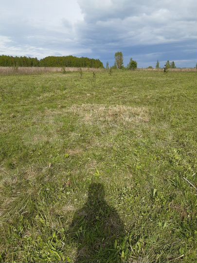 Участок 15 сот. (ИЖС)