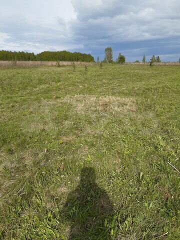 Участок 15 сот. (ИЖС)