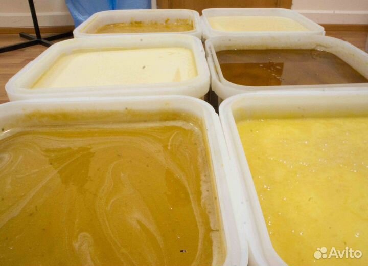 2024 Мед натуральный алтайский опт