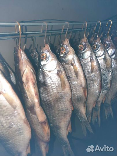 Жирненькая икряная сорожка и чехонь