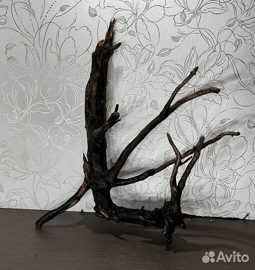 Коряги для аквариума