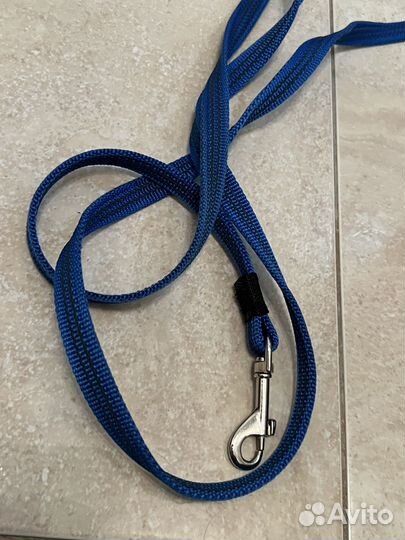 Амуниция для собак