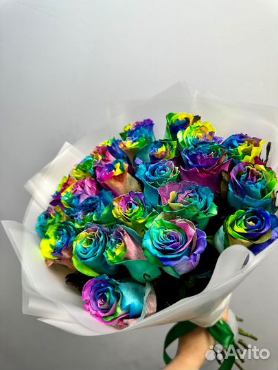 Розы Цветные Радужные 25 51 101
