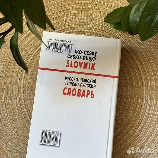 Русско-чешский словарь