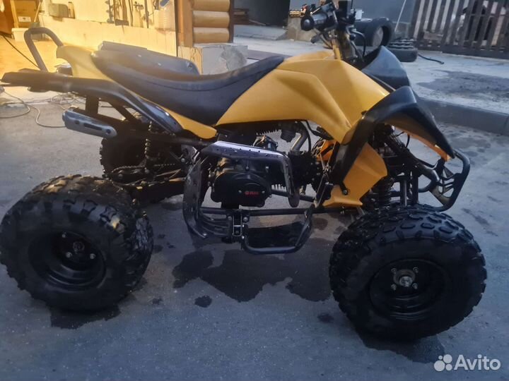 Рысь 125