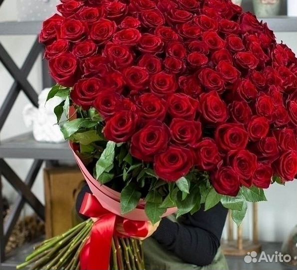 Тюльпан 21 51 101