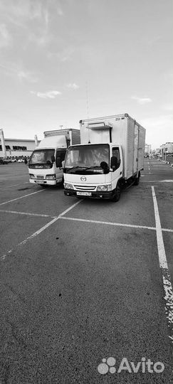 Грузоперевозки / грузчики