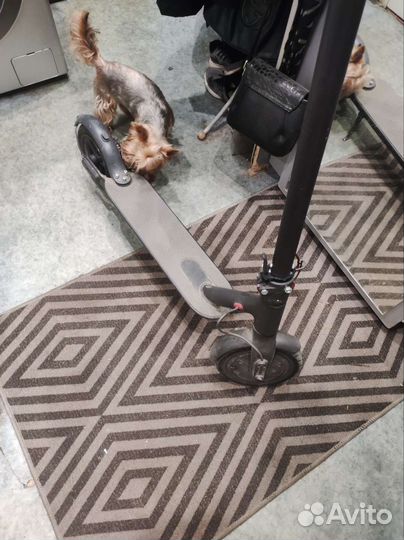 Электросамокат xiaomi mijia m365