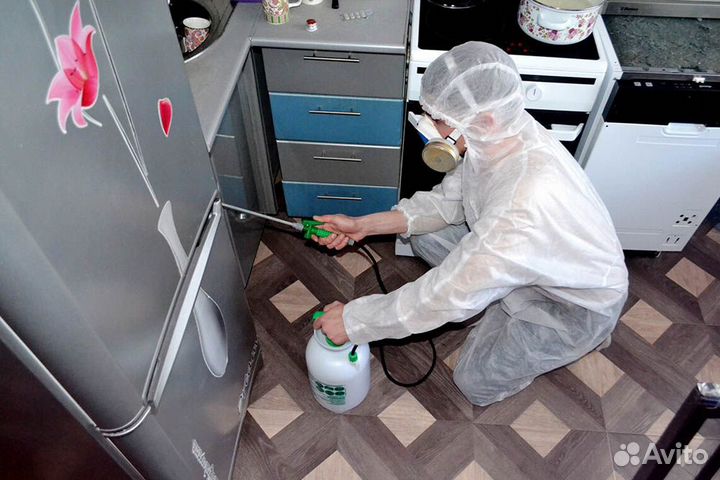 Барнаул Уничтожение Тараканов Клопов