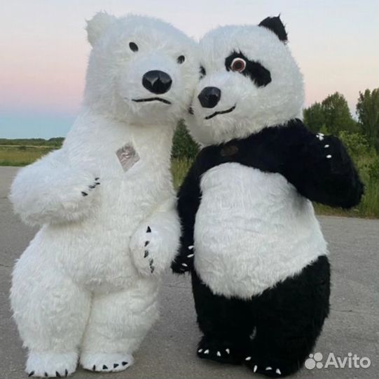 Белый Мишка, Панда поздравление ростовой куклой