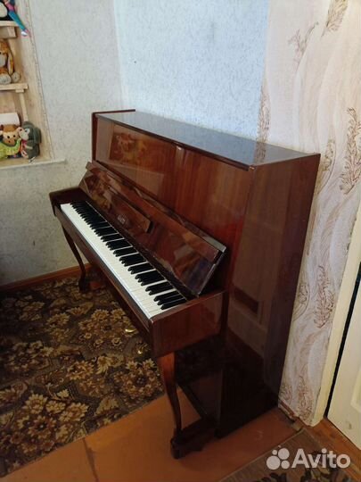 Сюита Ноктюрн настроенное