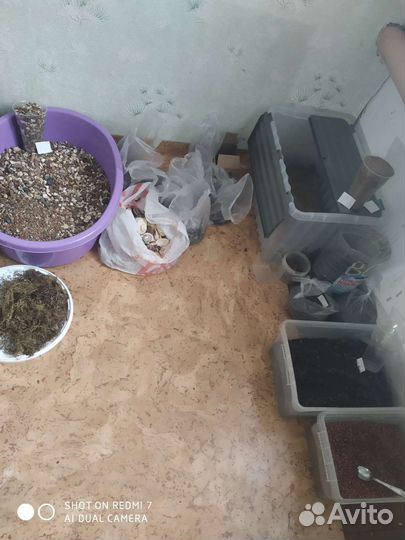 Аквариумные рыбки