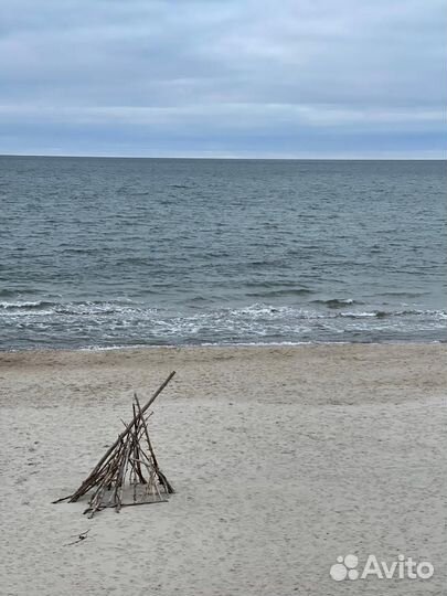 Индивидуальные экскурсии на Куршскую косу