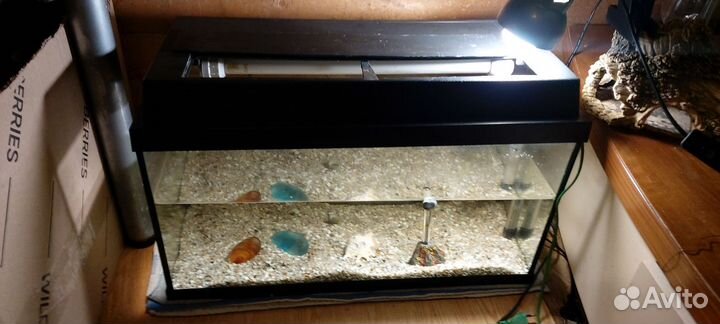 Аквариум 56 литров