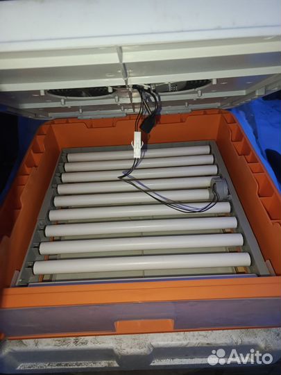 Инкубатор для яиц автоматический переворот бу